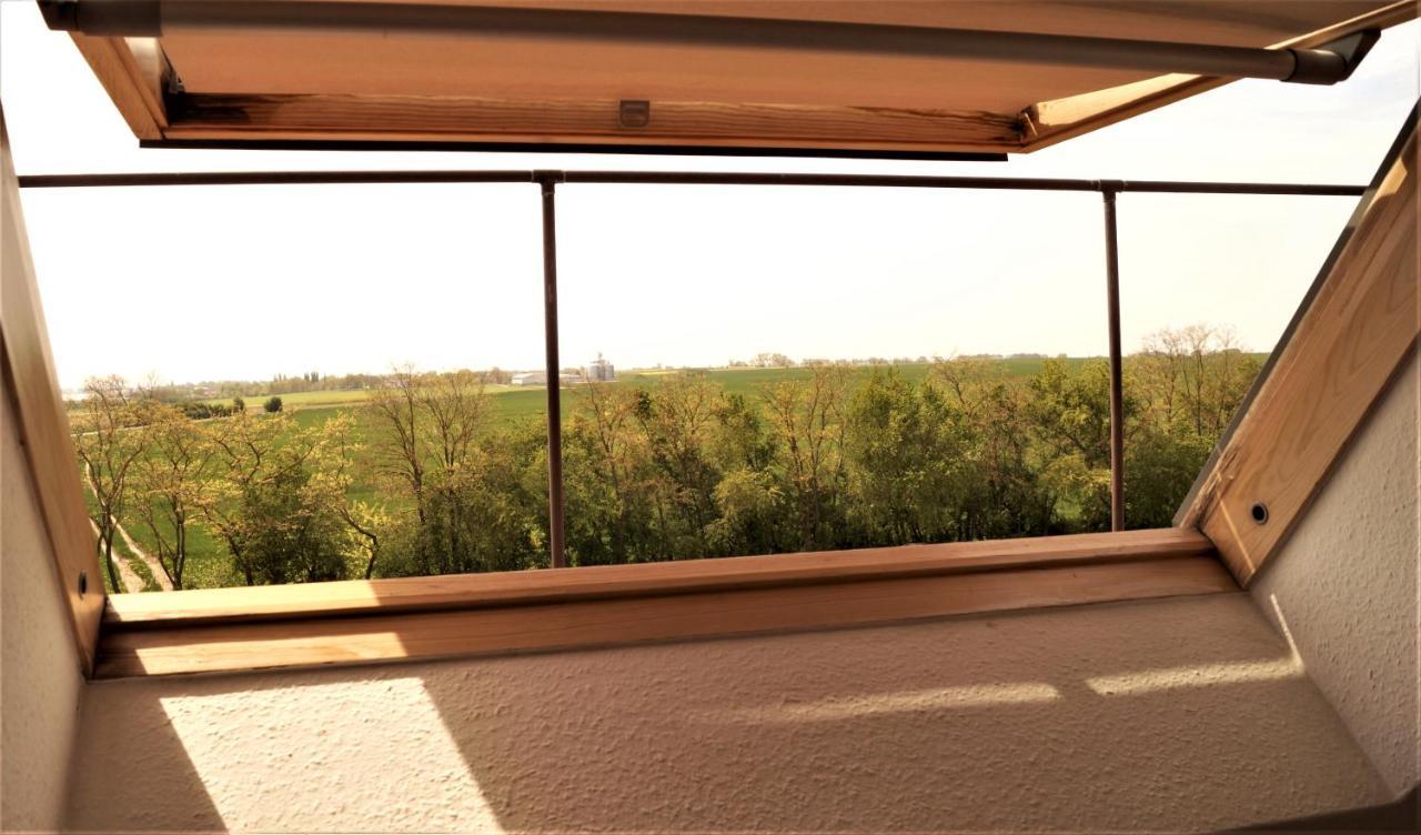 Gollwitz Ferienwohnung Ilsebill מראה חיצוני תמונה